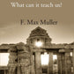 India What can it teach us ? - Gyan Books - Swadesiicart