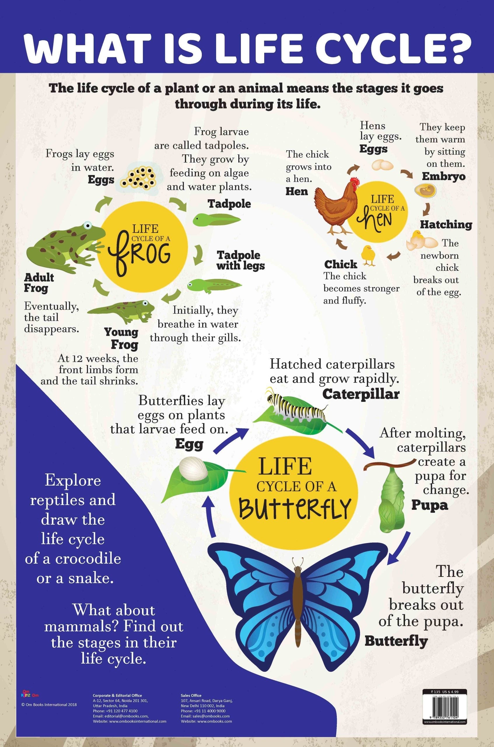 What is Life Cycle : Charts - Om Books - Swadesiicart