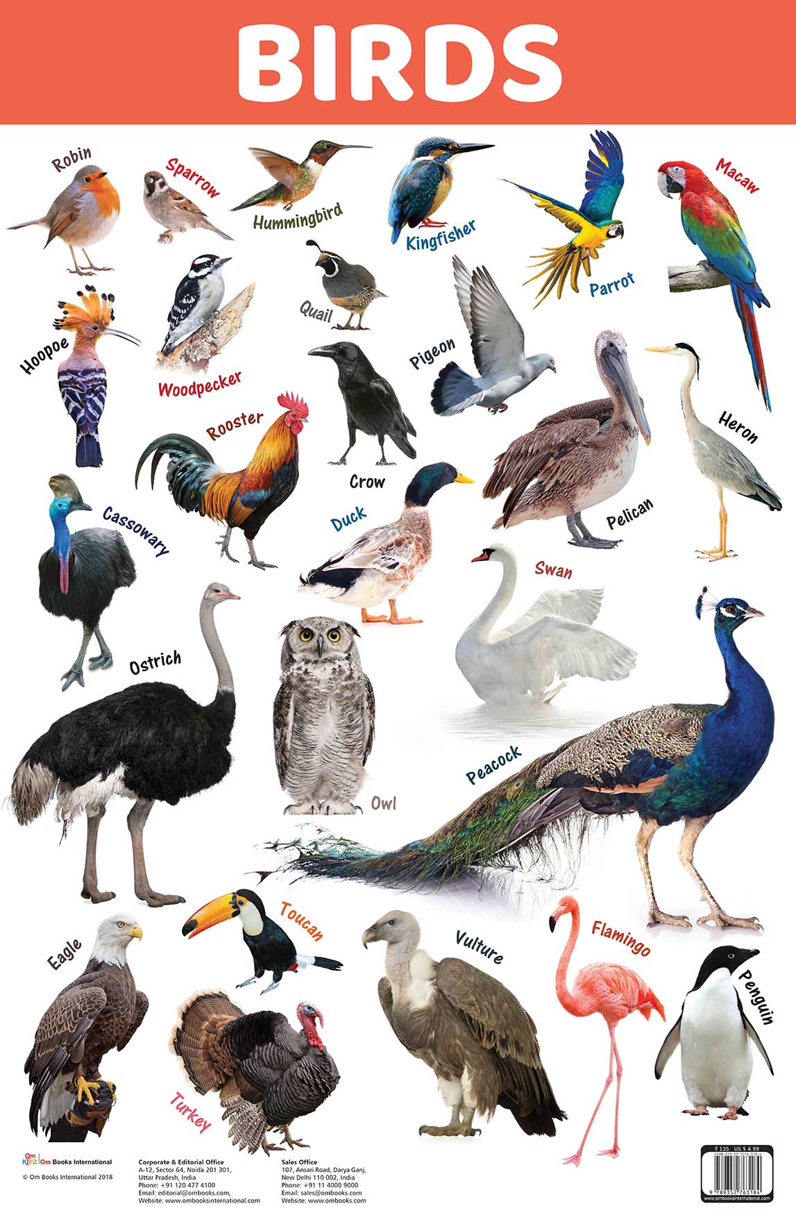 Birds : Charts - Om Books - Swadesiicart