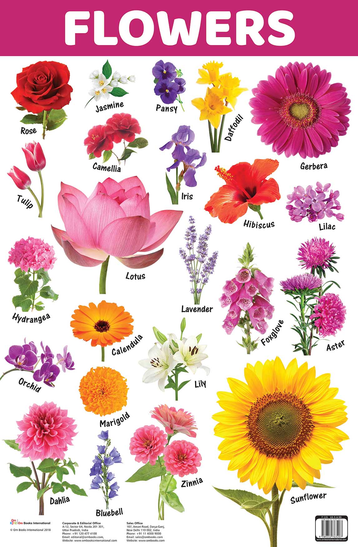 Flowers : Charts - Om Books - Swadesiicart
