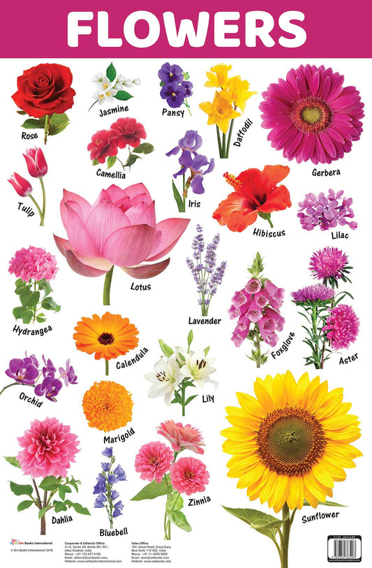Flowers : Charts - Om Books - Swadesiicart