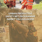 Urban Productive SafetyNet Programme Impacton Livelihood - Gyan Books - Swadesiicart
