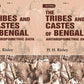 Tribes and Castes of Bengal: Anthropometric Data 2 Vols. Set - Gyan Books - Swadesiicart