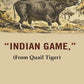 Indian Game: (From Quail Tiger) - Gyan Books - Swadesiicart