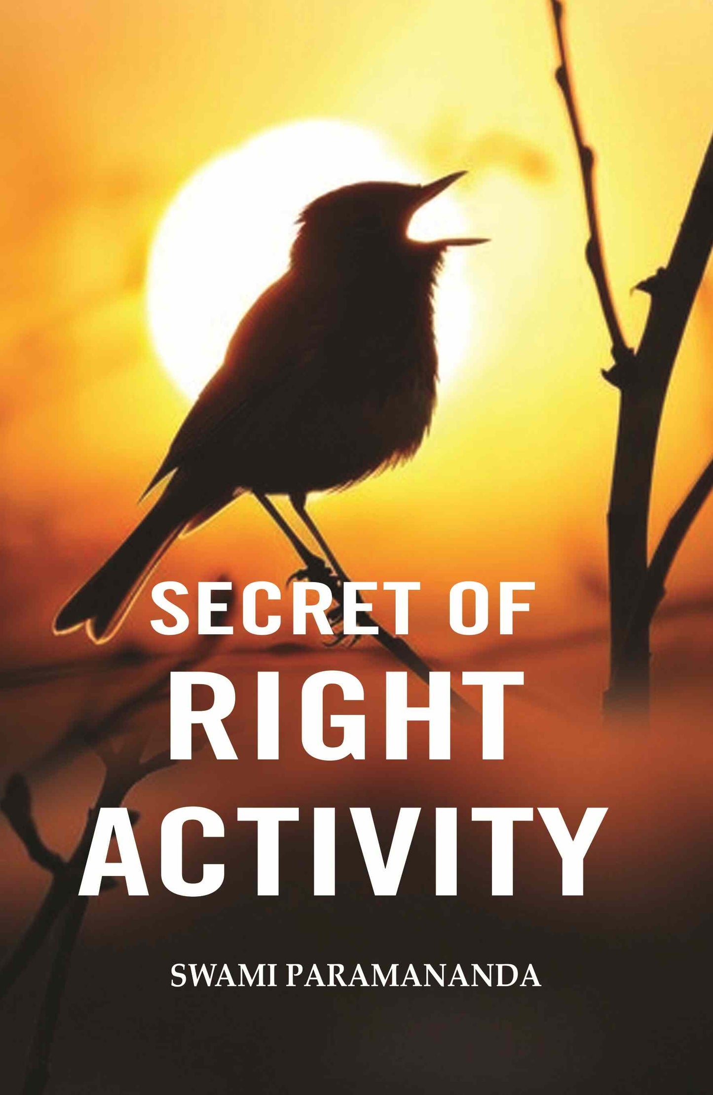 Secret of Right Activity - Gyan Books - Swadesiicart