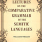 Lectures on the Comparative Grammar of the Semitic Languages - Gyan Books - Swadesiicart