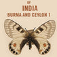 Butterflies of India Burma and Ceylon 1 - Gyan Books - Swadesiicart