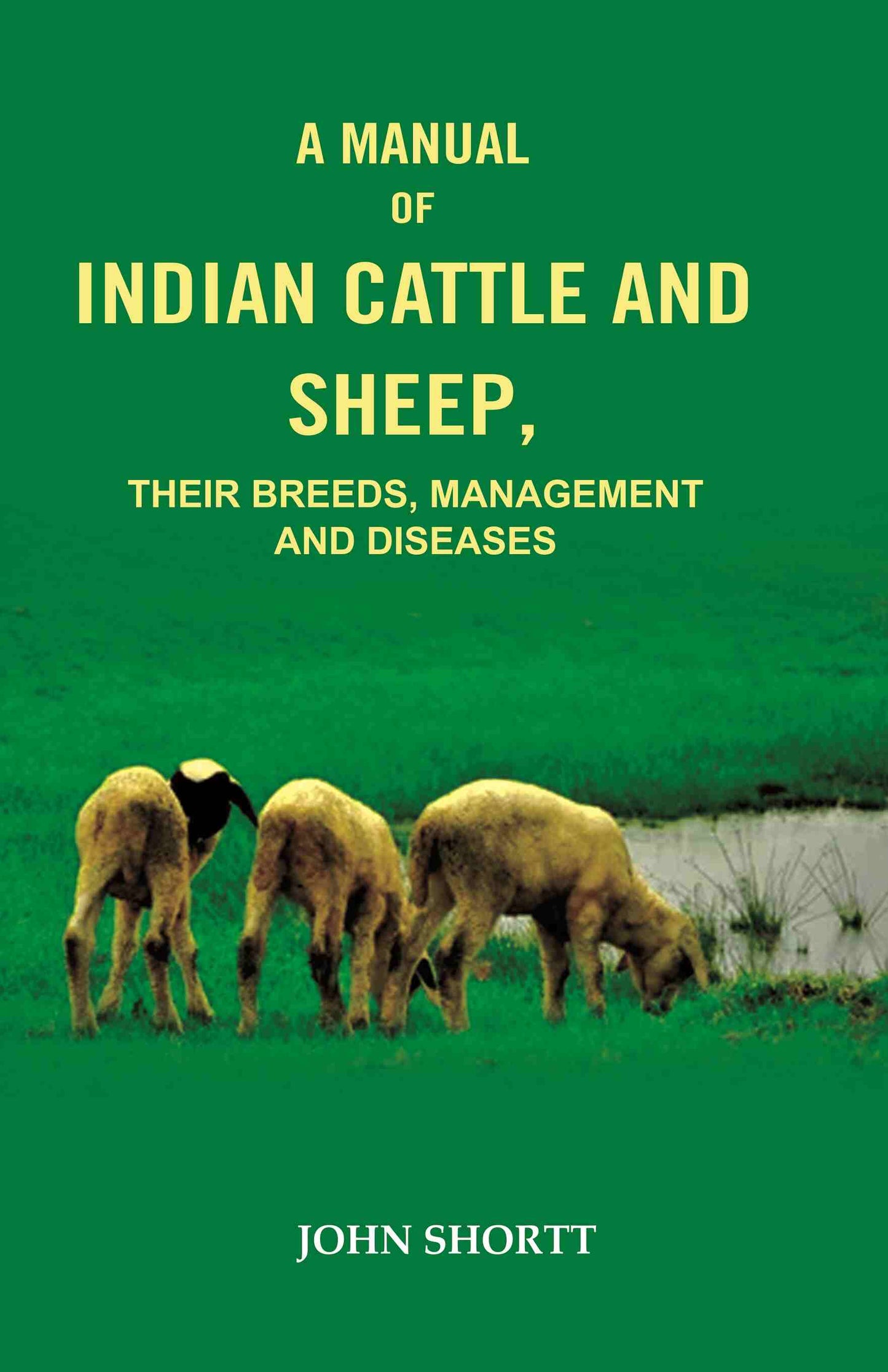 A Manual of Indian Cattle and Sheep: Their Breeds, Management and Diseases - Gyan Books - Swadesiicart
