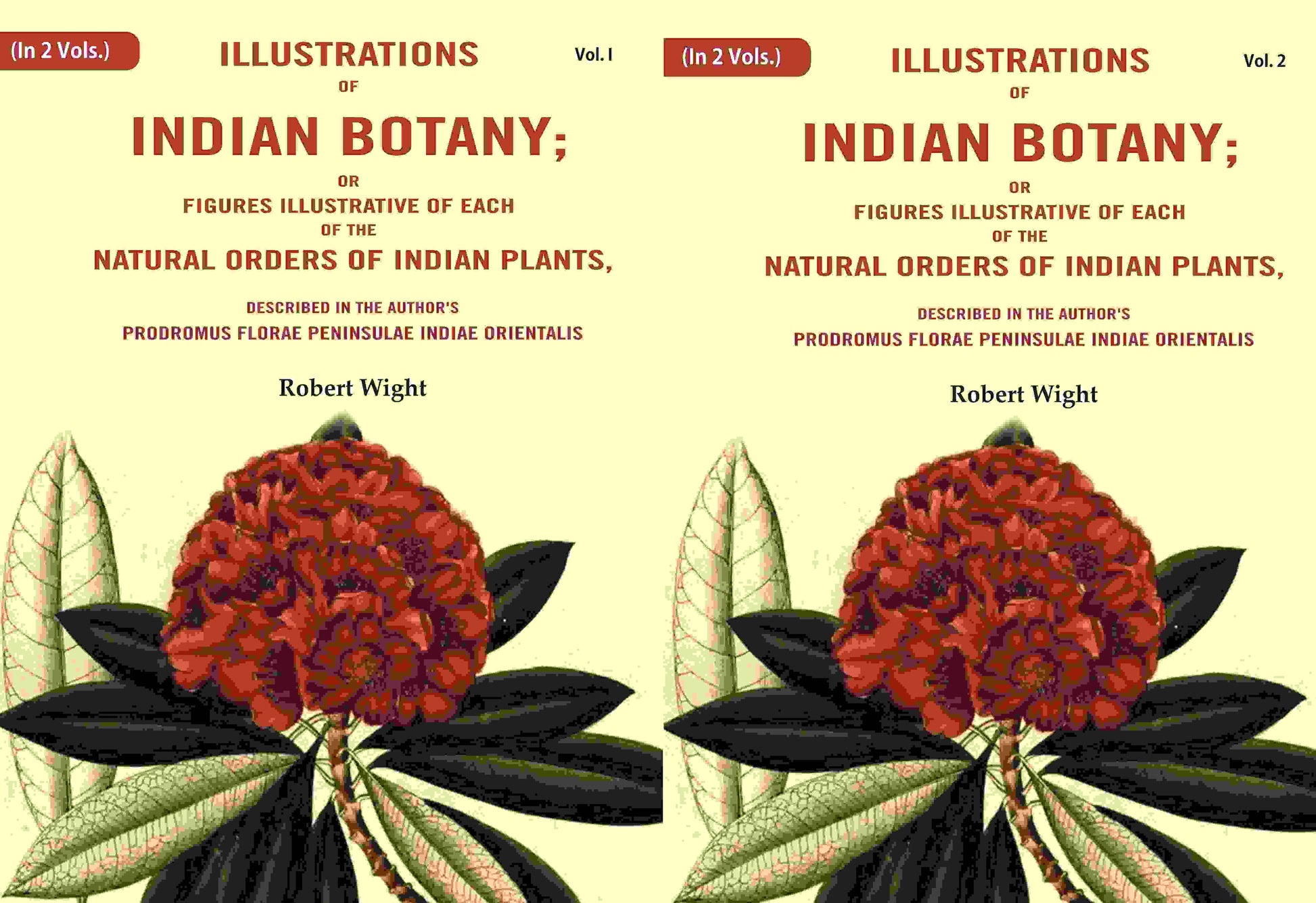 Illustrations Of Indian Botany; Or Figures Illustrative Of Each Of The Natural Orders Of Indian 2 Vols. Set - Gyan Books - Swadesiicart