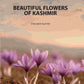 Beautiful Flowers Of Kashmir (2nd) - Gyan Books