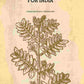 A Hand Book of Botany for India - Gyan Books - Swadesiicart