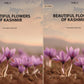Beautiful Flowers Of Kashmir (2 Vols. Set) - Gyan Books