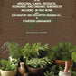 A Catalogue of Indian Synonymes of the Medicinal Plants, Products: Inorganic And Organic Substances Included in that Work With Explanatory and Descriptive Remarks &c., in Fourteen Languages - Gyan Books