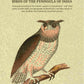 Catalogue of the birds of the peninsula of India: Arranged according to the modern system of classification : with brief notes on their habits and geographical distribution, and description of new, doubtful and imperfectly described species - Gyan Books