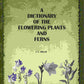 A Dictionary of the Flowering Plants and Ferns - Gyan Books