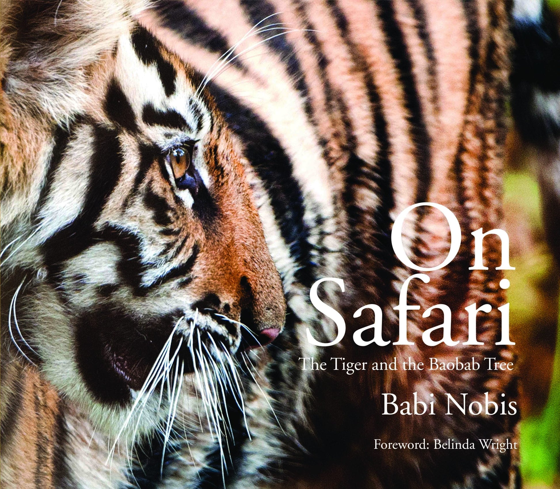 On Safari : The Tiger and The Baobab Tree by Babi Nobis - Om Books - Swadesiicart