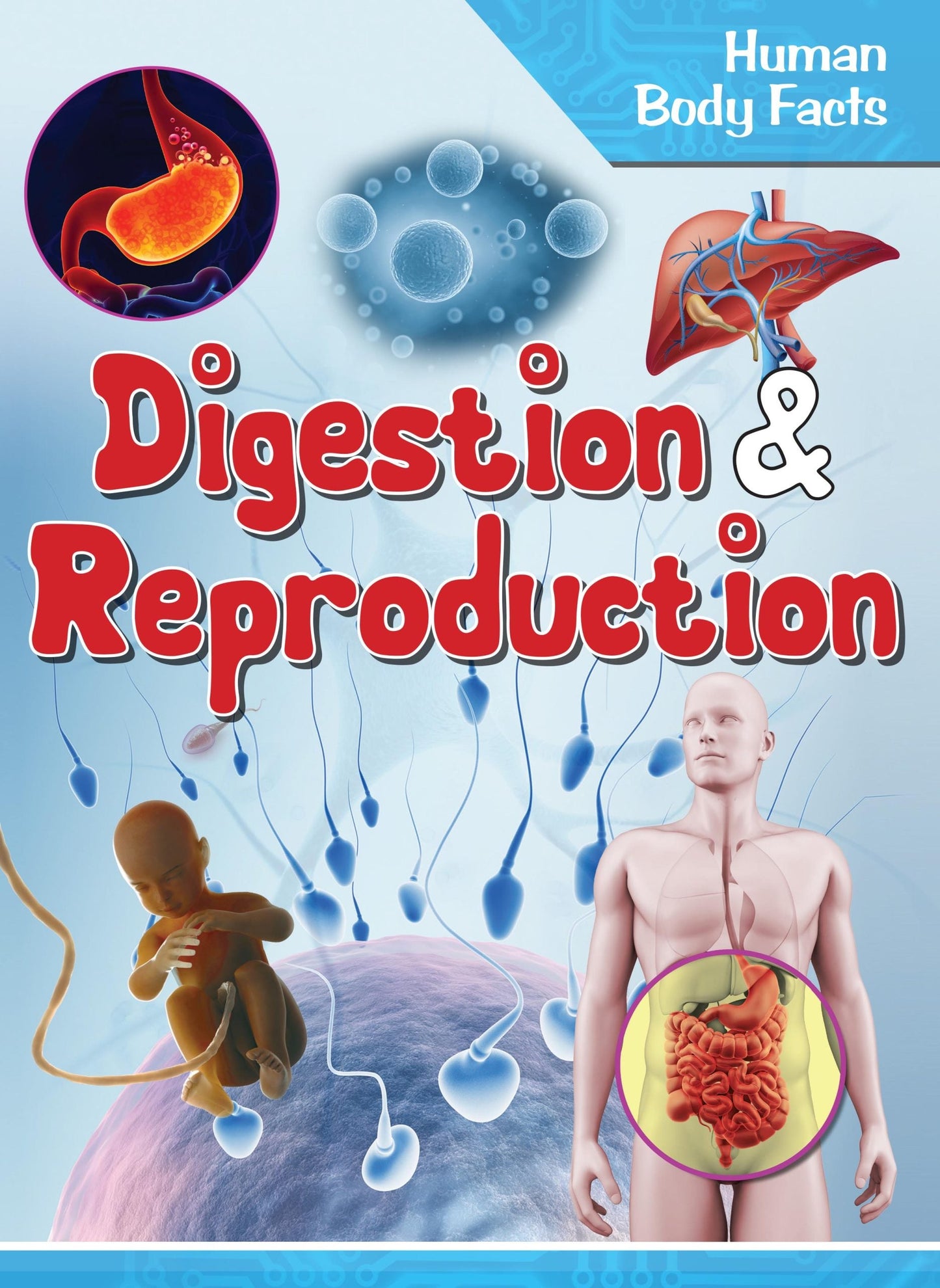 Digestion & Reproduction : Human Body Facts - Om Books - Swadesiicart