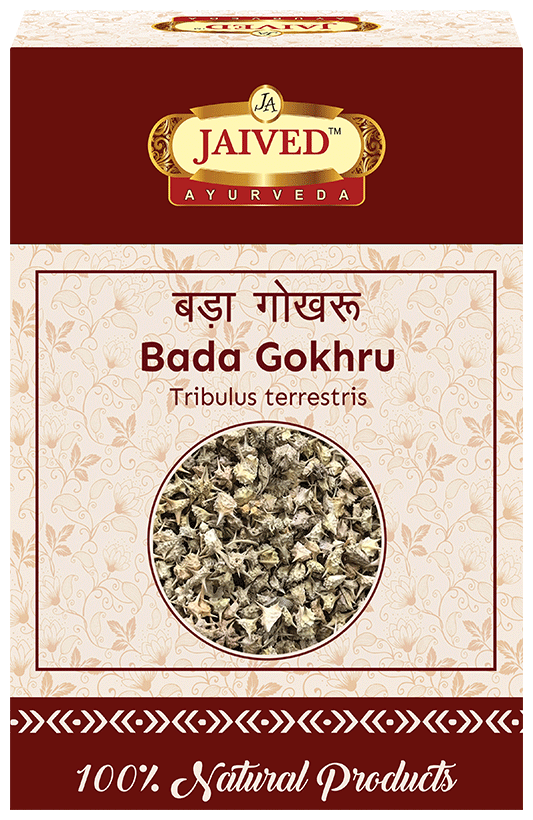 Jaived Ayurveda Bada Gokhru | Swadesiicart