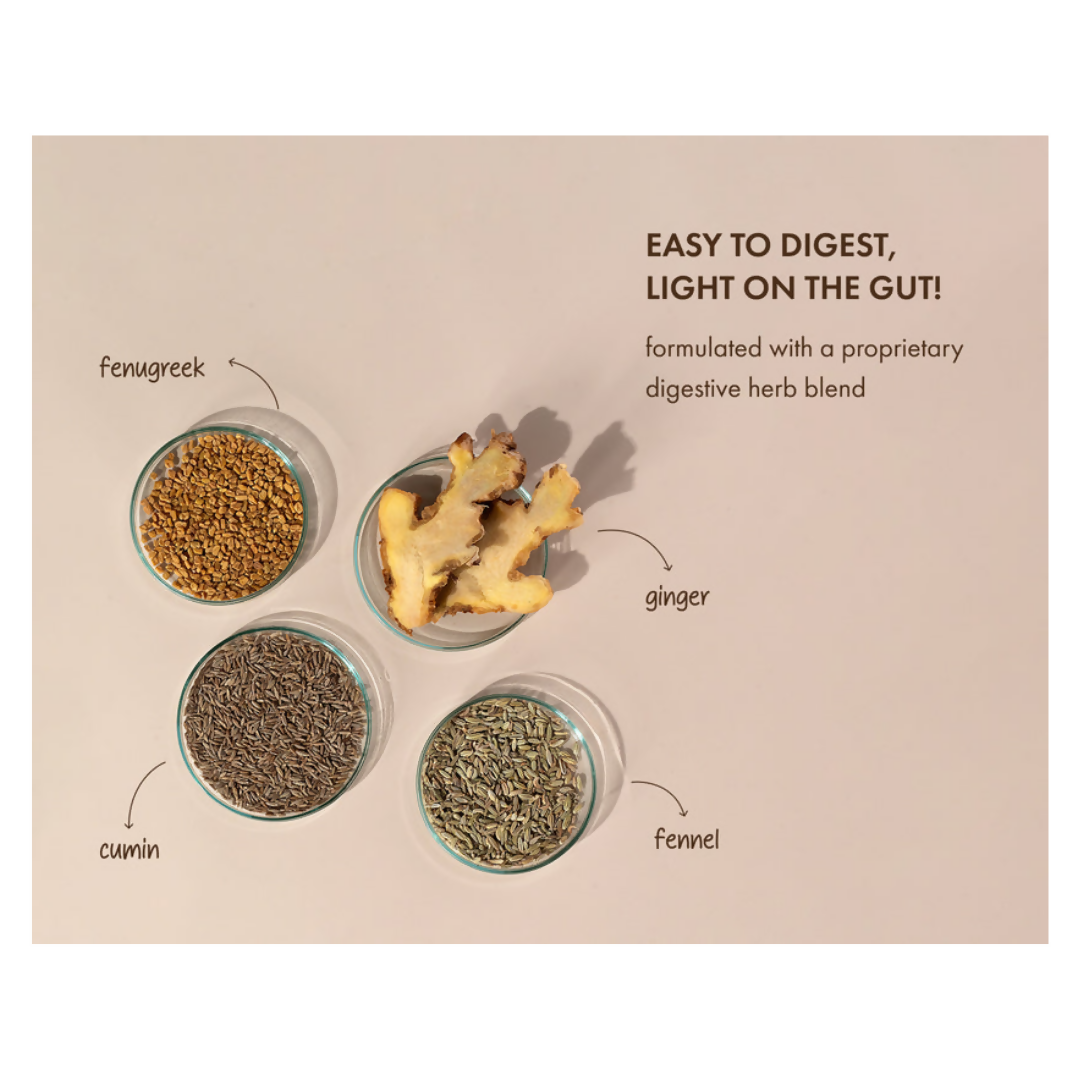Cosmix No Nonsense Plant Protein Chikmagalur Mocha | Swadesiicart