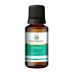 Korus Essential Cypress Essential Oil - Therapeutic Grade - Just Jaivik
