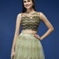 House of Panchhi Lime Green Net Embroideried Round Sequins Lehenga | Swadesiicart
