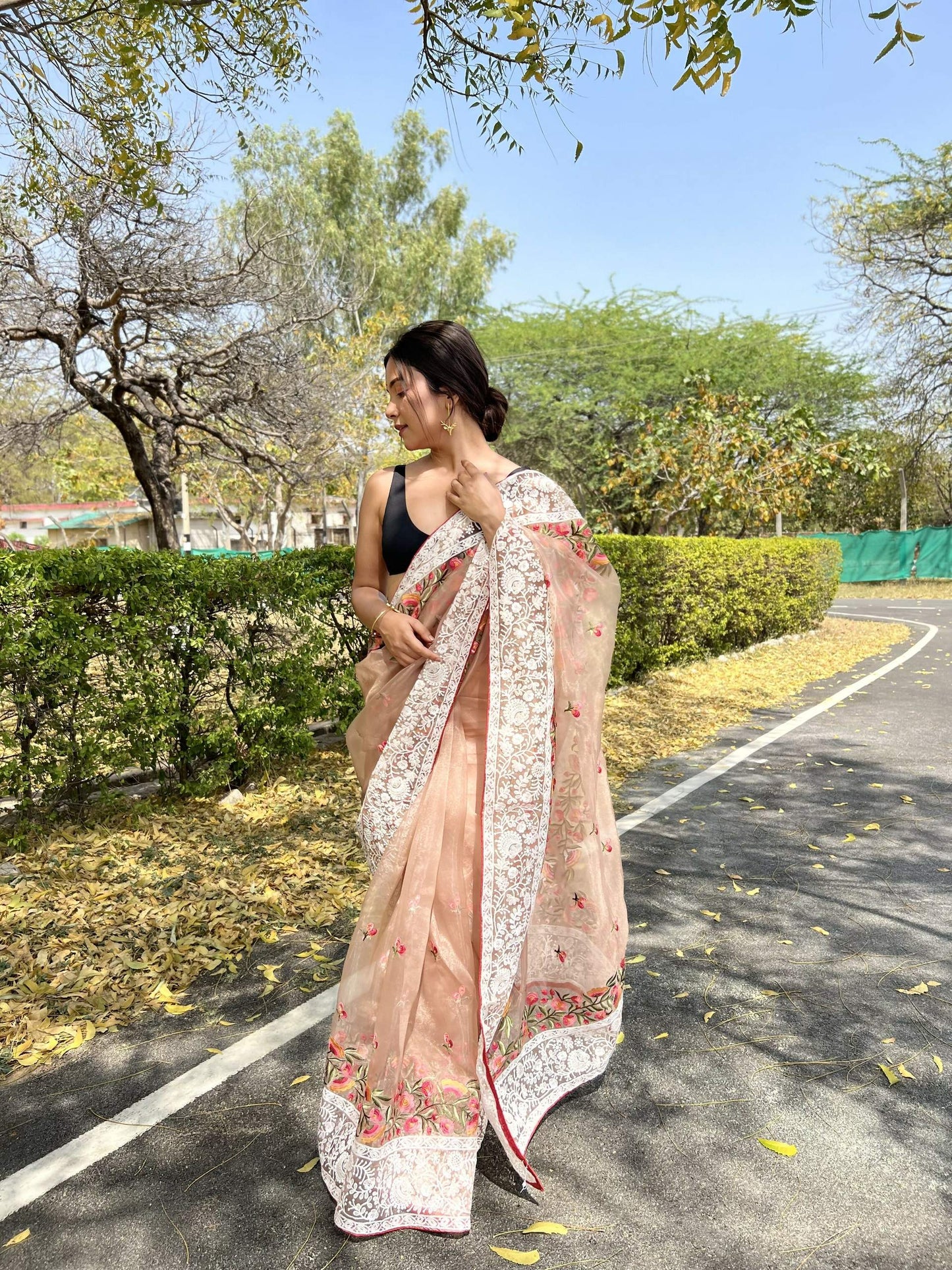 Vamsee Riddhi-Siddhi -1 Brown Organza Saree - Swadesiicart