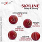 Boxco Skyline Hand Stiched Four Piece Cricket Leather Ball (Pack of 6) - Swadesiicart
