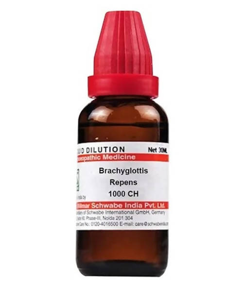 Dr. Willmar Schwabe India Brachyglottis Repens Dilution | Swadesiicart