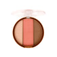Matt Look One Stop Pop Sculpting Palette - Swadesiicart