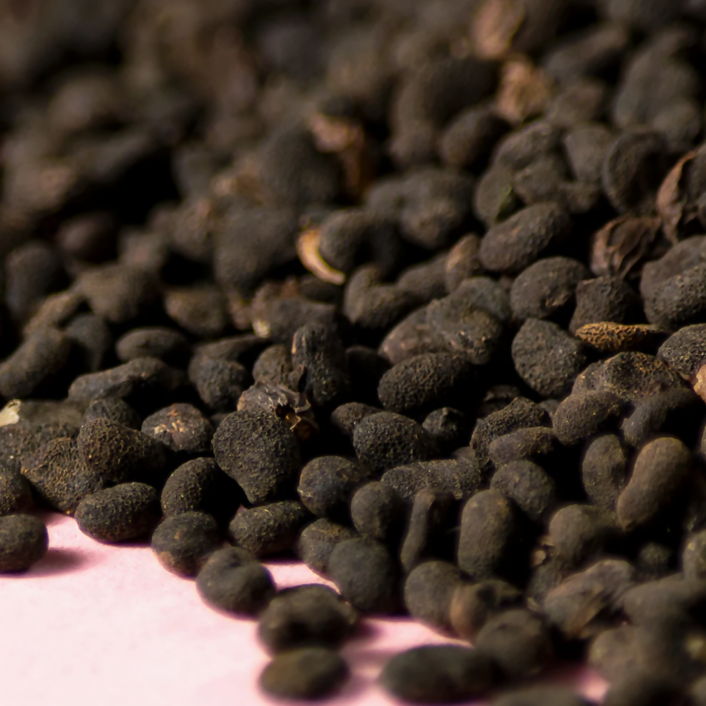 Nxtgen Ayurveda Babchi Seeds | Swadesiicart