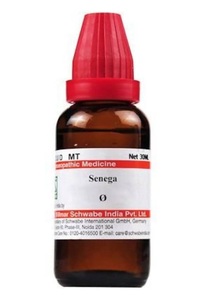 Dr. Willmar Schwabe India Senega Mother Tincture | Swadesiicart