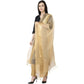 A R Silk VNS Tissue Zari Fancy Dupatta Golden Color Dupatta or Chunni