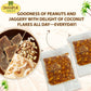 Dhampur Green Coconut Peanut Chikki | Swadesiicart