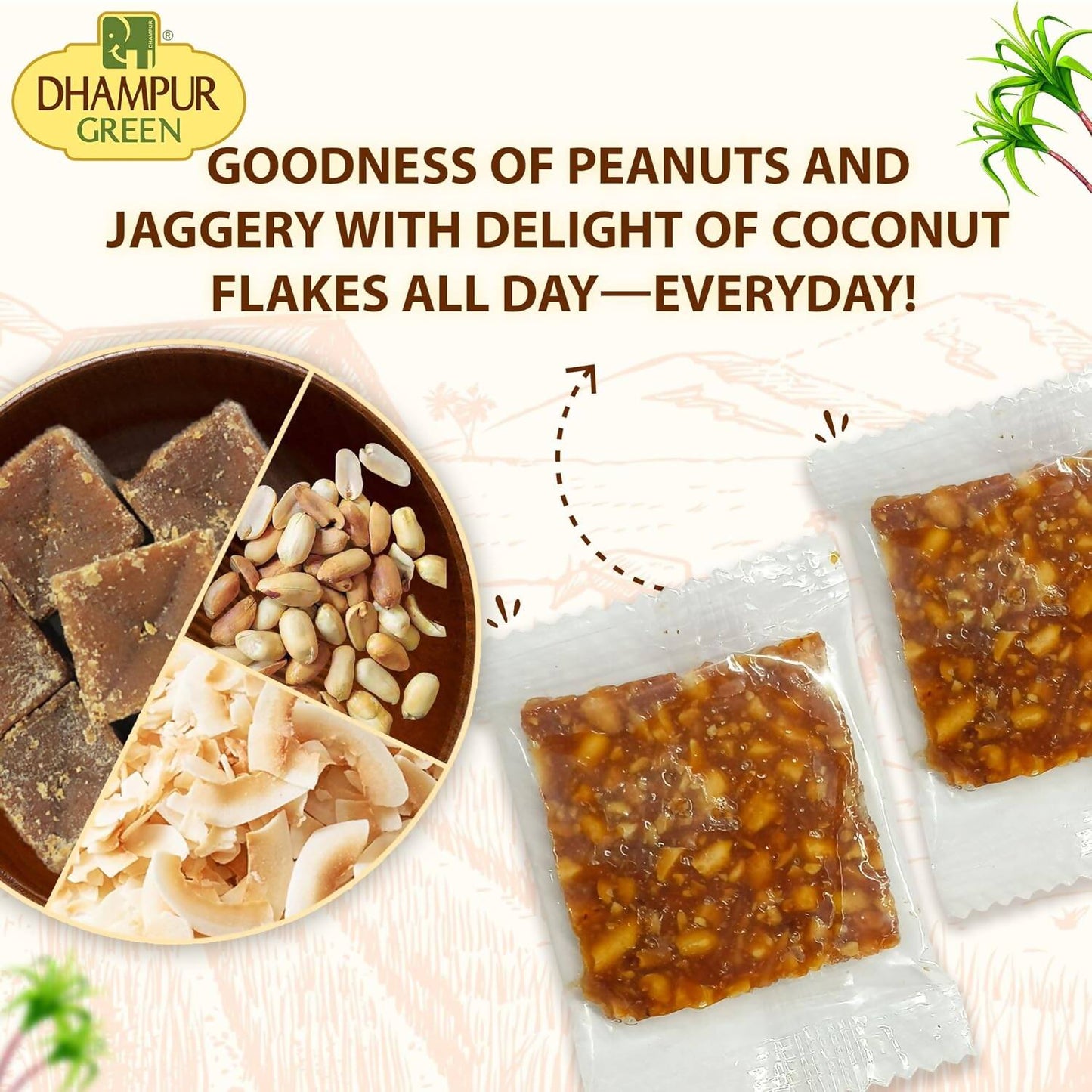 Dhampur Green Coconut Peanut Chikki | Swadesiicart