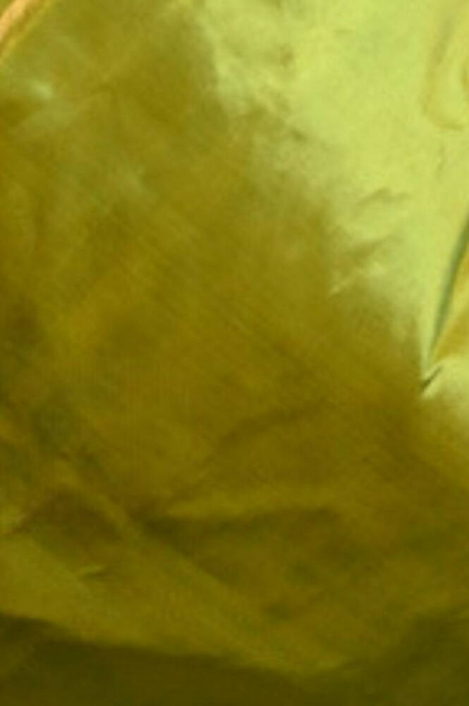 Very Much Indian Premium Handloom Pure Silk Muniya Borde-Parrot Green,Silver Zari And Intricate Big Radha Krishna Pallu | Swadesiicart