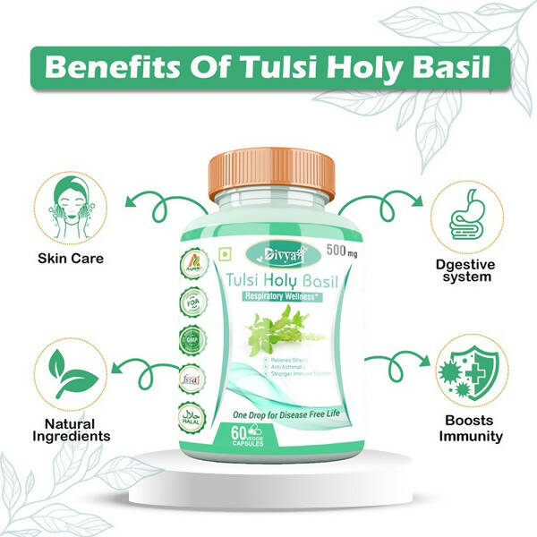 Divya Shree Tulsi Holy Basil Veggie Capsules | Swadesiicart