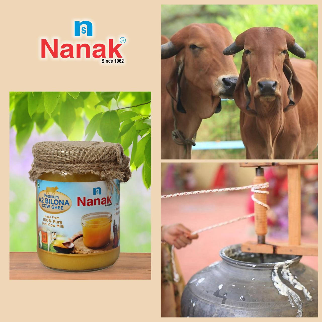Nanak Desi A2 Bilona Cow Ghee | Hand Churned | Vedic Bilona Method Ghee | Swadesiicart
