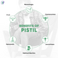 Pathak Ayurvedic Pharmacy Pistil Tablets - Swadesiicart