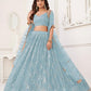 Aastha Fashion Sky Blue Butterfly Net Tone To Tone Cotton Thread Work With Sequence Work Embroidery Wedding Wear Lehenga Choli