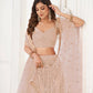 Aastha Fashion Peach Butterfly Net Tone To Tone Cotton Thread Work With Sequence Work Embroidery Wedding Wear Lehenga Choli