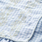 Ahalyaa Women Blue & White Checked A-Line Top | Swadesiicart