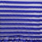 Ahalyaa Blue & Black Striped Net Ready to Wear Saree Set | Swadesiicart