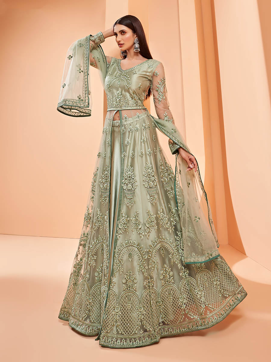 Myra Pista Green Butterfly Net Embroidery Anarkali | Swadesiicart