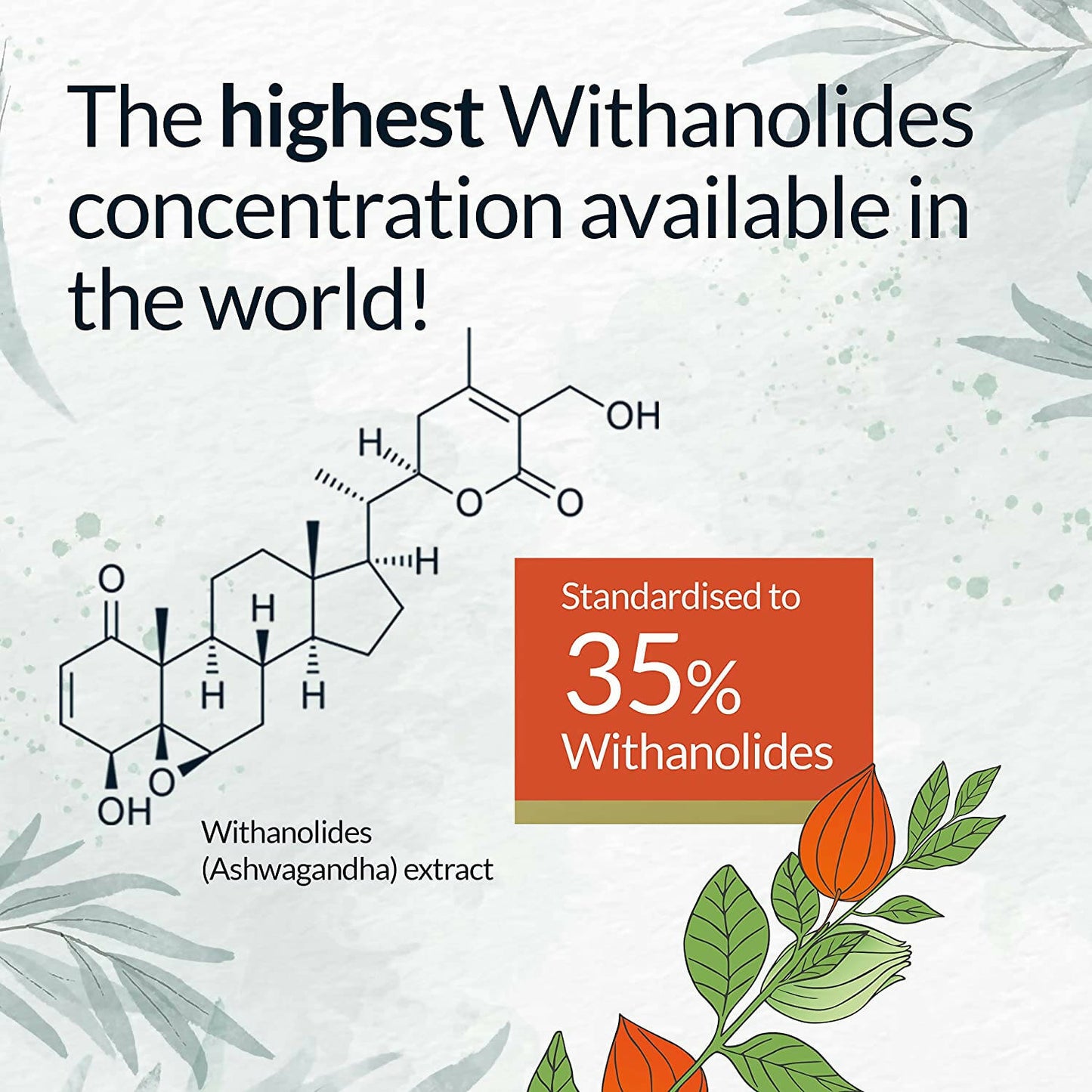 Yogic Secrets Ashwagandha Capsules | Swadesiicart