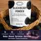 Confect Blackberry Fruit Powder