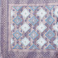 Shree Shyam Fashion Radiant Sky Blue Linen Cotton Patola Saree - Where Tradition Dances with Elegance