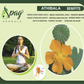 Spag Herbals Atibala Powder - Swadesiicart