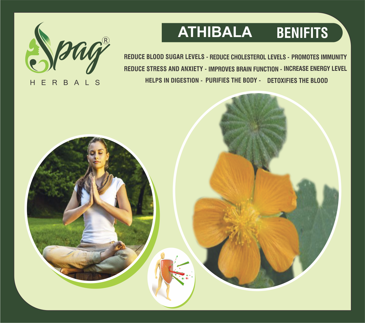 Spag Herbals Atibala Powder - Swadesiicart