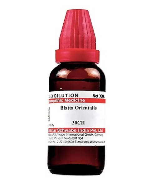Dr. Willmar Schwabe India Blatta Orientalis Dilution | Swadesiicart