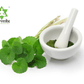 Ayurvedix Organic Gotu Kola Leaf Extract Powder - Swadesiicart